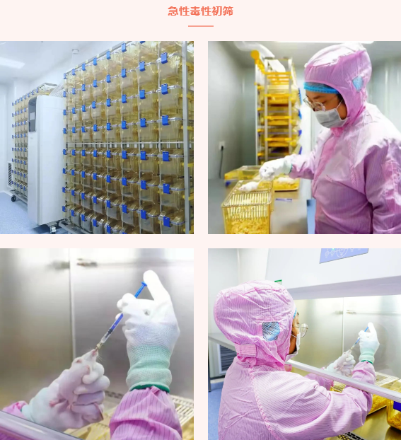 荣耀时刻——中旭公司荣获“河北省检验检测行业培树典型标杆”荣誉